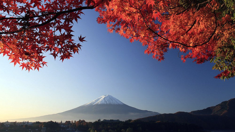 Try the Fuji-san ascent!